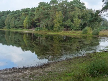 A lake with a calm water surface surrounded by a dense forest and green meadow, haaksbergen, .