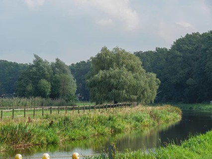 A calm river flows through a green meadow with a large willow tree under a cloudy sky, haaksbergen,