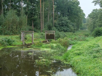 A quiet river with a small wooden bridge, surrounded by a dense green forest, haaksbergen, .