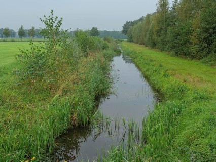 A small river flows quietly through a green landscape with dense vegetation and trees, haaksbergen,