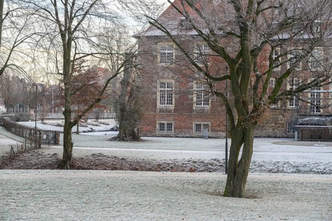 Winter scene with trees and a historic building in the background, Velen, North Rhine-Westphalia,
