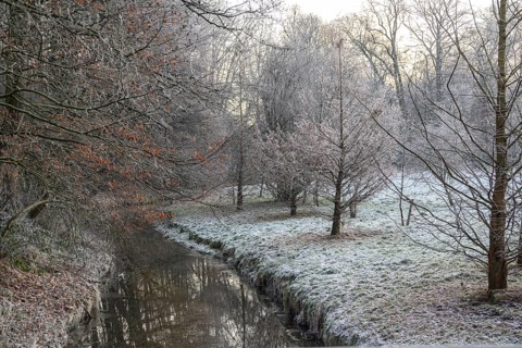 A small stream flows through a frosty winter landscape with bare trees and grass, Velen, North