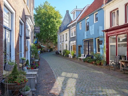 Narrow cobbled alley with historic buildings, facades and plants that are illuminated in sunny
