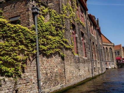 Elongated brick building with climbing greenery along a canal, Bruges, Belgium, Europe
