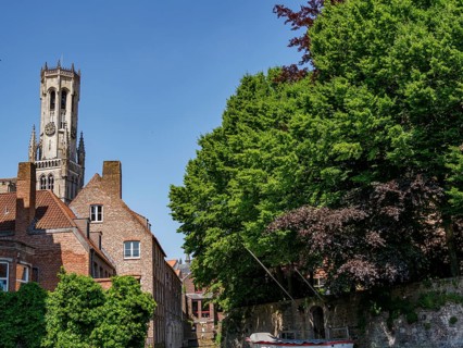 Historic houses and a tower surrounded by lush green foliage on a sunny day, Bruges, Belgium,