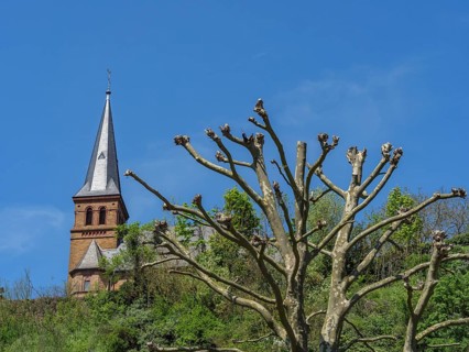 A church tower and a defoliated tree on a hill under a blue sky, Saarburg, Germany, Europe