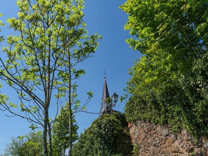 A tree with fresh green leaves and a lantern next to a city wall on a sunny day, Saarburg, Germany,