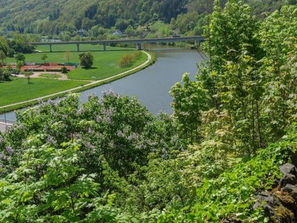 Green landscape with a river and a bridge, surrounded by many trees and forests, Saarburg, Germany,