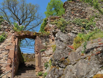 Entrance to a historic ruin with stone walls and an archway, surrounded by green nature and trees,