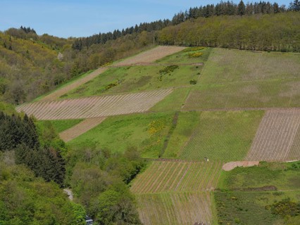 Wide fields and agriculturally utilised hills that dominate the picture show a well-tended