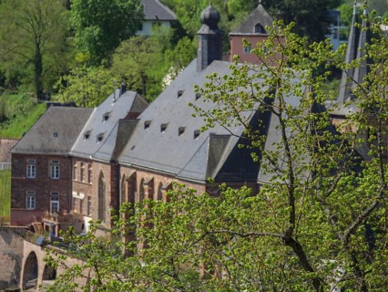 Beautiful old buildings, partly hidden by green trees that create a historic atmosphere, Saarburg,