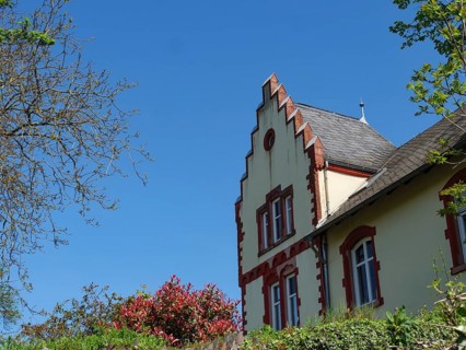 A house with striking architecture, surrounded by trees and plants under a blue sky, Saarburg,