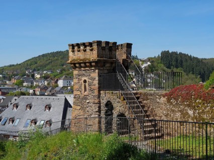 Historic castle tower and staircase with surrounding buildings and green landscape in sunny