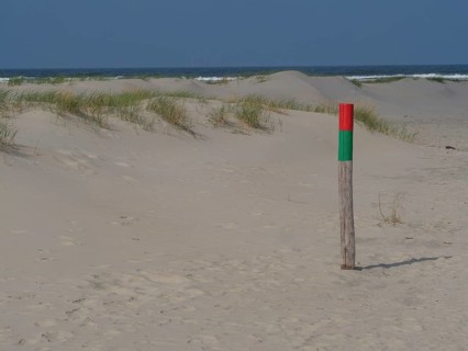 Sand dunes with waist-high dune grass and marked post near the beach under a blue sky, juist, east