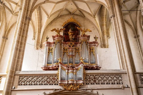 Church ('Piaristenkirche Unsere liebe Frau') in the historic old town of Krems an der Donau,