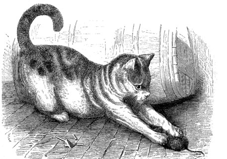 Domestic cat with a captured mouse, Felis domestica, 1880, Historical, digital reproduction of an