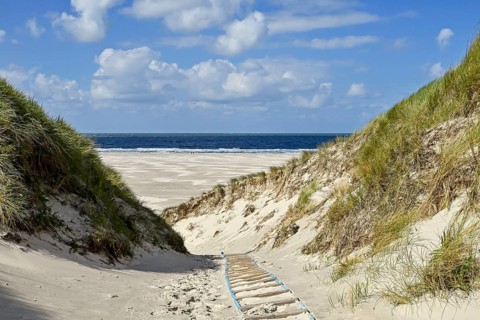 Dune path to Kniepsand and North Sea, Amrum, North Frisian Island, North Frisia,