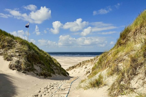 Dune path to Kniepsand and North Sea, Amrum, North Frisian Island, North Frisia,