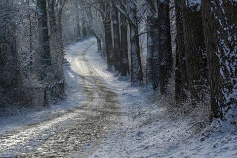 Narrow curvy country road from cobblestone in winter covered with ice and snow between dark tree