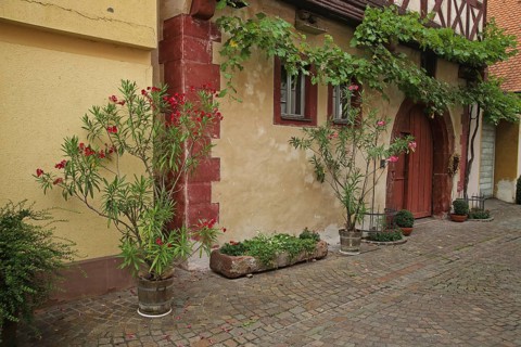 Half-timbered house with flower decoration and grapevine, idyll, house facade, Fischergasse,