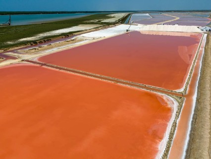 Aerial view of pink coloured salt pans next to a coastline under a clear sky, aerial view, Salinas