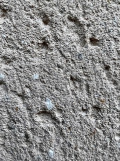 Vertical view of White cement texture sandstone concrete, rock plastered stucco wall, painted flat