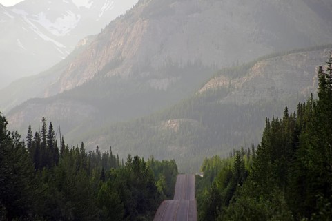Mountain road through a misty forest with surrounding mountains in the background, Icefields