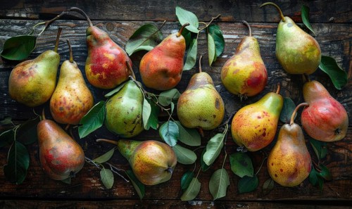 Top view of assorted pears on a rustic wooden table AI generated