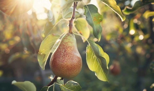 Close-up of a perfectly shaped pear AI generated
