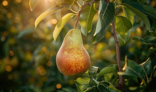 Close-up of a perfectly shaped pear AI generated
