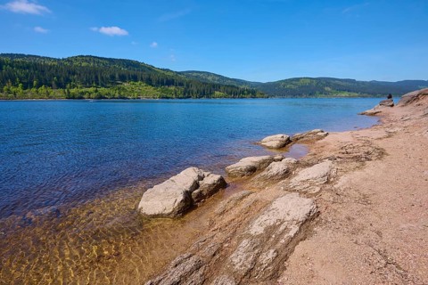 Schluchsee surrounded by trees and rocky shores under a clear blue sky, spring, Schluchsee, Black