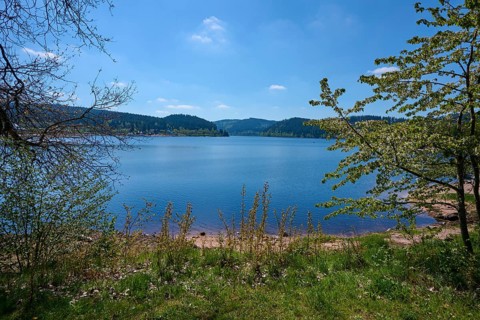 Schluchsee surrounded by green trees and a clear blue sky in the background, spring, Schluchsee,