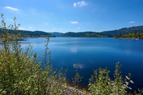 Schluchsee surrounded by green trees and a clear blue sky in the background, spring, Schluchsee,