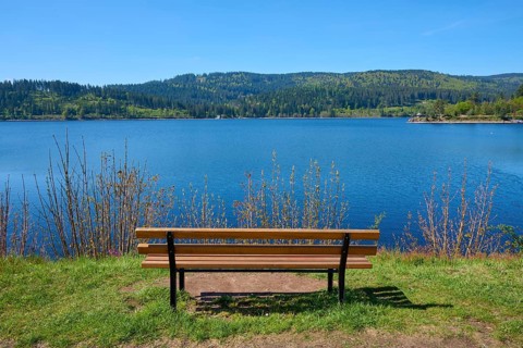 A wooden bench at Schluchsee with a view of mountains and blue sky, surrounded by green nature,