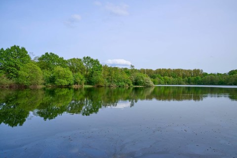 A quiet lake with a clear reflection of the surrounding green trees under a blue sky, spring,