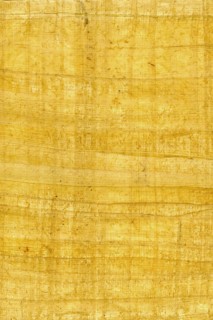 Background of real Paper reed