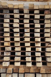 Piles of timber cut from Pinus radiata are laid out to dry at the sawmill