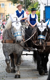 Pichelsteinerfest Regen, Lower Bavaria, Germany, July 26 2024, horse-drawn carriage, Europe