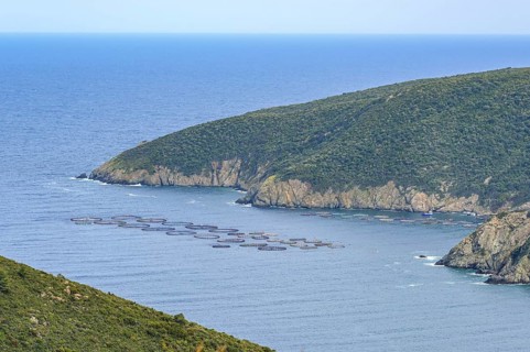 Aquaculture in a bay of Sithonia on Chalkidiki in Greece. Many fish in narrow cages are treated