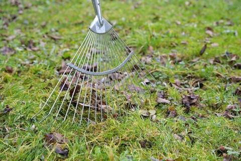 Wire leaf rake removing old brown leaves from the grass in the meadow, cleaning up in garden and