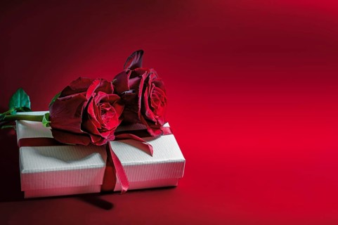 Two dark red roses on a white gift box for valentines or mothers day, holiday love symbol, red