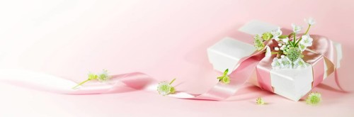 Romantic love gift with ribbon and white flowers on a pink peach background in panoramic format for