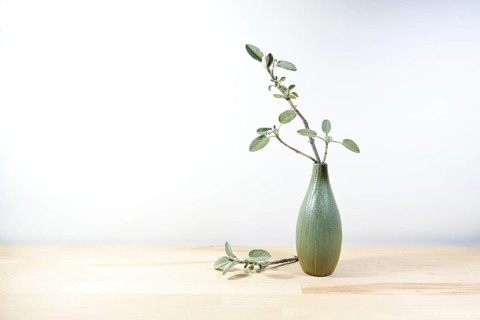 Small vase with a sprig of sage on a light wooden table or desk in front of a white wall,