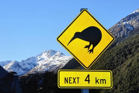 Road sign warning of kiwis near Arthurs Pass, South Island, New Zealand, Oceania
