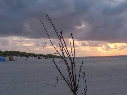 An atmospheric sunset on the beach with clouds and some sticks in the foreground, juist, east