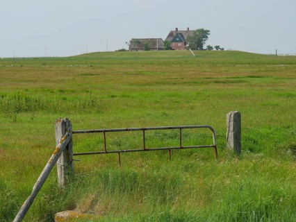 A Tor tor leads to a house in the distance, surrounded by a vast, green landscape and a peaceful