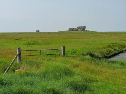 An old, wooden Tor tor stands in the middle of a wide, green meadow, reflecting the Sommerland,