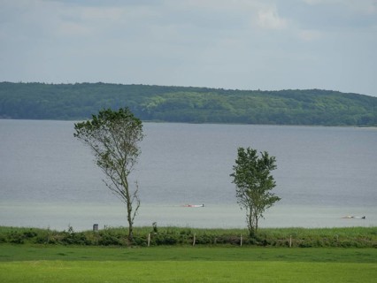 View of a calm lake with trees in the foreground under a slightly cloudy sky, Glücksburg,