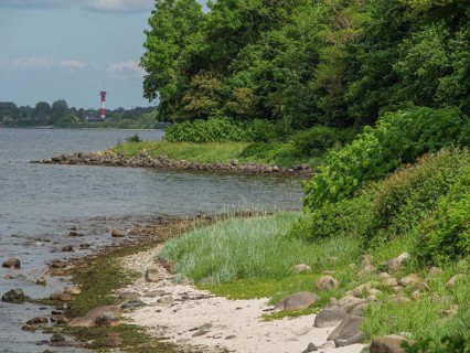 Coastal strip with stones and grasses, trees on the shore, calm atmosphere under a blue sky,