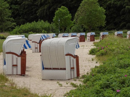 Numerous beach chairs in a natural setting with trees and bushes, relaxation on the sandy beach,